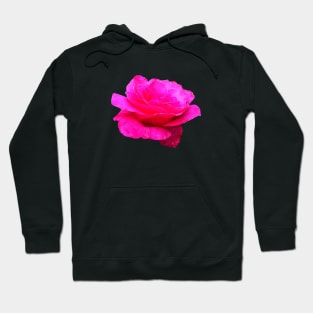 Bud of rose. Hoodie